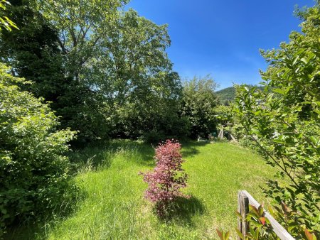 Thaddäus Stammelstrasse - sonniges, ebenmässiges Grundstück in absoluter Ruhelage mit 598 m² optional gäbe es noch 647 m² dazu