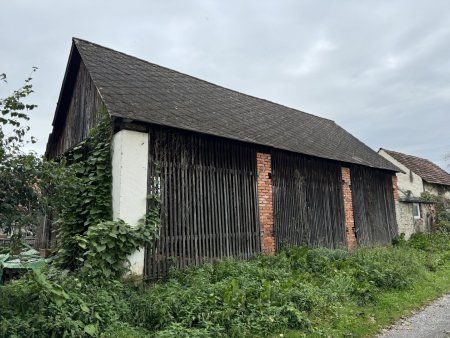 Einfamilienhaus mit großem Grundstück – auch für Landwirtschaft & Anleger interessant, Pferdehaltung