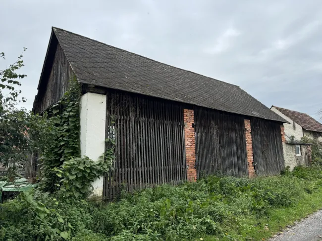 Einfamilienhaus mit großem Grundstück – auch für Landwirtschaft & Anleger interessant, Pferdehaltung - Bild