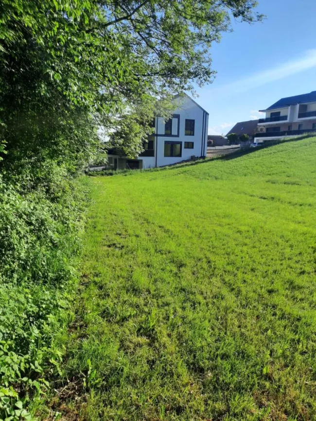 HITZENDORF BEI GRAZ! TRAUMHAFTES BAUGRUNDSTÜCK IN TOPLAGE! - Bild