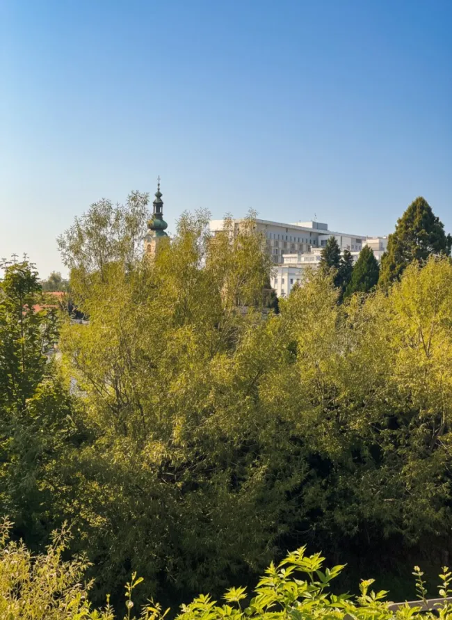 Nähe LKH - Perfekte Lage Charmante, gemütliche und sonnige 3-Zimmer-Wohnung mit Balkon mit Blick ins Grüne und auf den Leonhardbach! - Bild