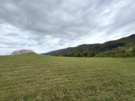 Ruhige Toplage mit sensationellem Panoramablick nahe Arnfels – Hardegg, ein Naturjuwel für Genießer, Familien & Investoren!