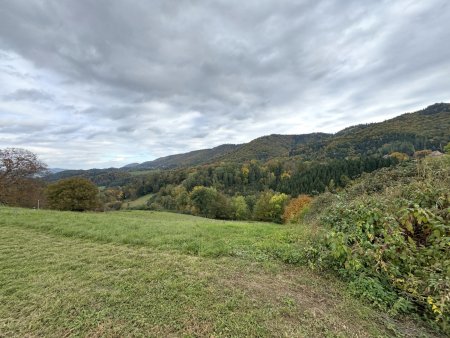 Ruhige Toplage mit sensationellem Panoramablick nahe Arnfels – Hardegg, ein Naturjuwel für Genießer, Familien & Investoren!