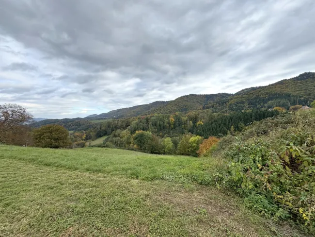 Ruhige Toplage mit sensationellem Panoramablick nahe Arnfels – Hardegg, ein Naturjuwel für Genießer, Familien & Investoren! - Bild