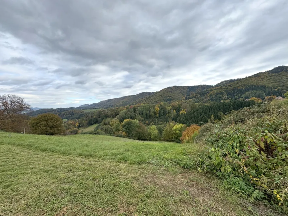 Ruhige Toplage mit sensationellem Panoramablick nahe Arnfels – Hardegg, ein Naturjuwel für Genießer, Familien & Investoren! - Bild