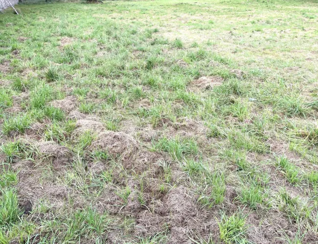 Ruhiges Baugrundstück in perfekter Lage – Gössendorf Ideal für Anleger, Bauträger und Gewerbetreibende - Titelbild