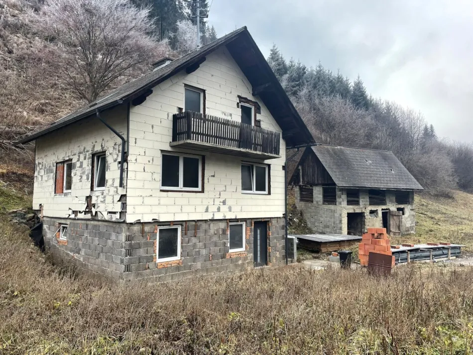 Großzügiges Grundstück (2.132 m²) mit Bastlerhaus & Nebengebäude - Bild