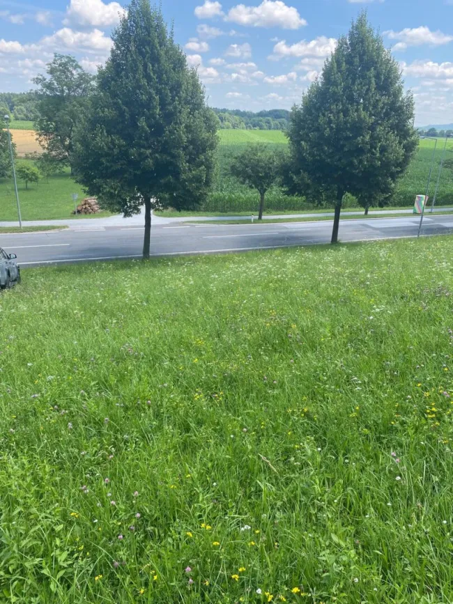 LOIPERSDORF! Großes Grundstück an der Thermenstraße zu verkaufen! - Bild