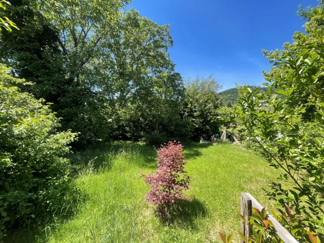 Thaddäus Stammelstrasse - sonniges, ebenmässiges Grundstück in absoluter Ruhelage 1.245 m² teilbar in 647 m² und 598 m² - Bild