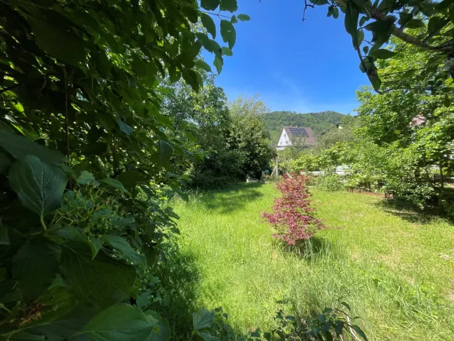 Thaddäus Stammelstrasse - sonniges, ebenmässiges Grundstück in absoluter Ruhelage 1.245 m² teilbar in 647 m² und 598 m² - Titelbild