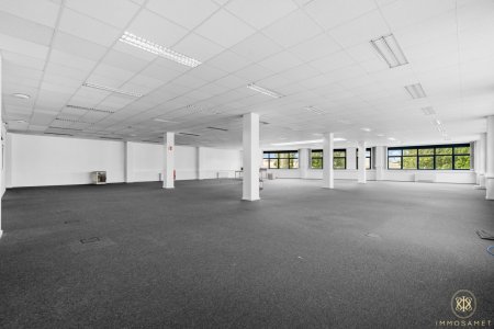 Gepflegte Industriefläche 500m² in 1230 Wien um €4.001,12 zur Miete