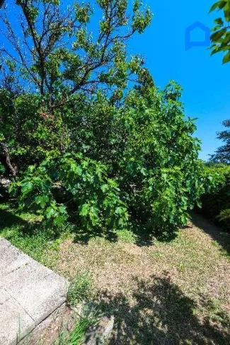 Einfamilienhaus, Zentrumsnähe mit Grünruhelage – Baugrundstück mit Entwicklungspotenzial - 1540m² Grund- für Bauträger- Familien - Investoren - Bild