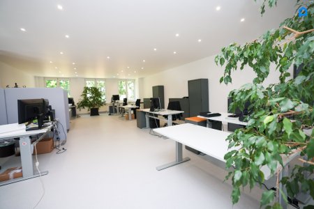 +Flexibles modernes Büro ca. 297 m² ,15-20 Räume insgesamt möglich, Teeküche, Toiletten, optionale PKW Stellplätze, optionaler Keller+
