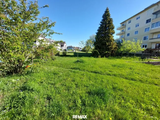 Grünoase