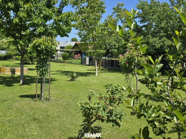 Bäume