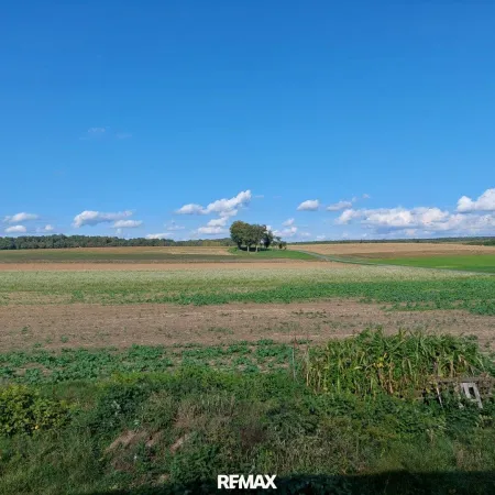Sicht von der Terrasse aus in die Natur