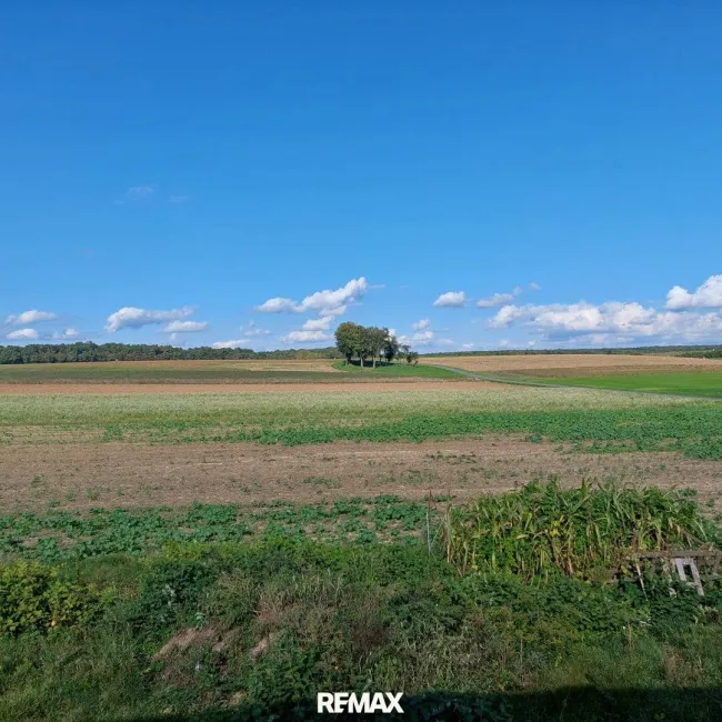 Sicht von der Terrasse aus in die Natur