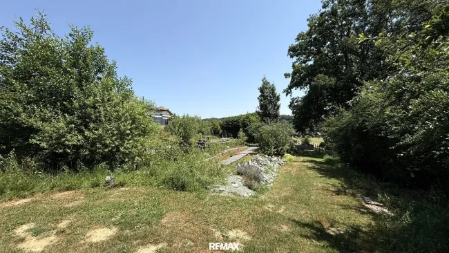 hinterer Garten mit Schwimmteich und Zufahrt