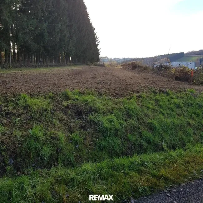 Ansicht Grundstück
