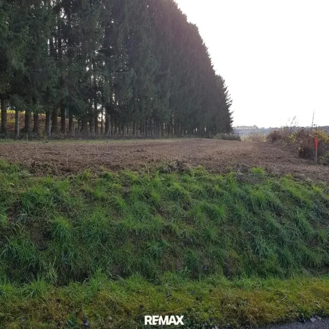 Ansicht Grundstück