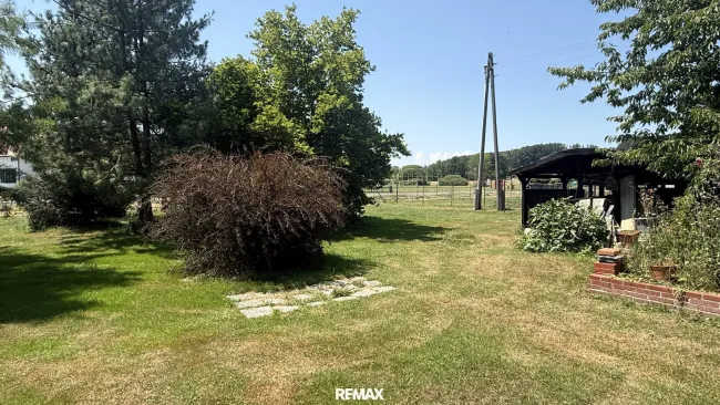 hintere Garten