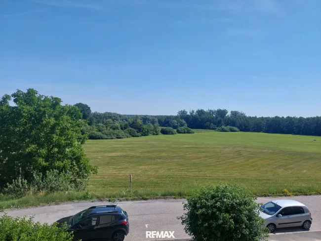 Grünblick direkt vom Fenster aus