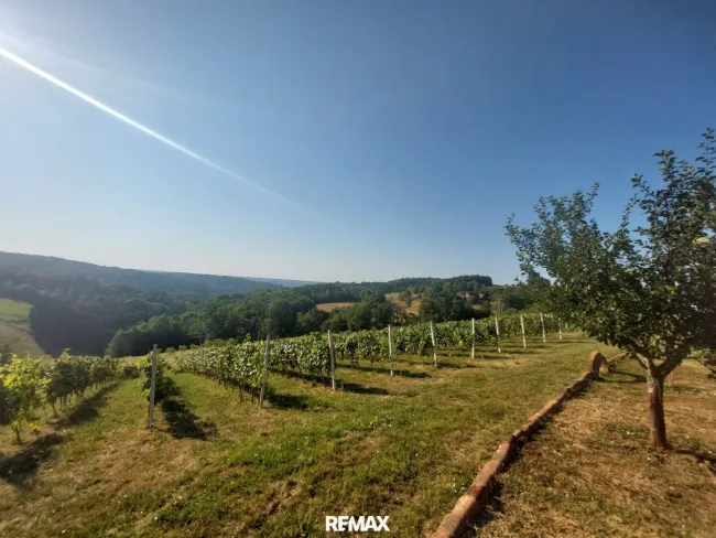 fantastischer Weitblick auf den eigene Weingarten, Wald und Wiesen