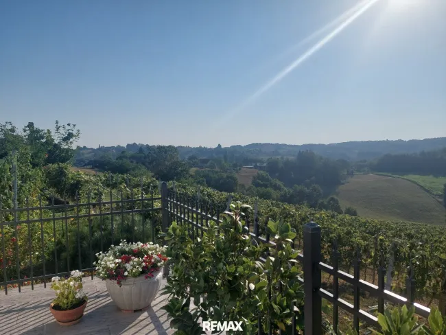 von der Terrasse aus den fantastischer Weitblick auf den eigene Weingarten, Wald und Wiesen