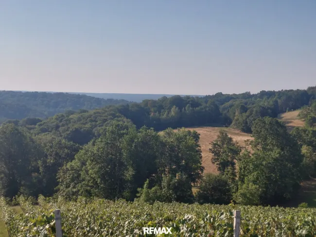 fantastischer Weitblick auf den eigene Weingarten, Wald und Wiesen