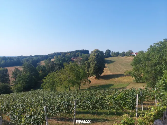 Freiheit pur