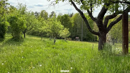 Traumgarten