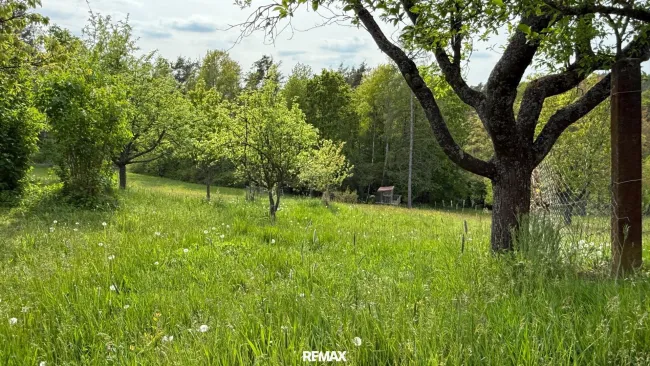 Traumgarten
