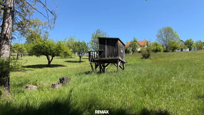 Garten mit Baumhaus