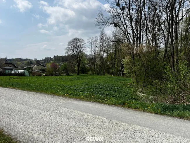 Straßensicht