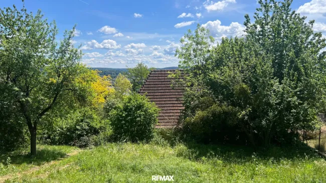 Blick zum Haus