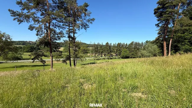 Baumbestand
