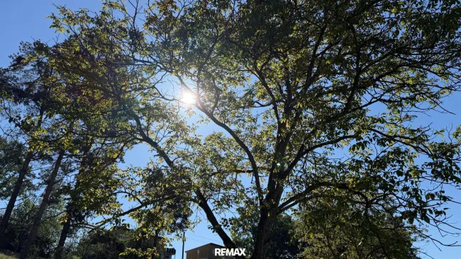 Sonnenschein