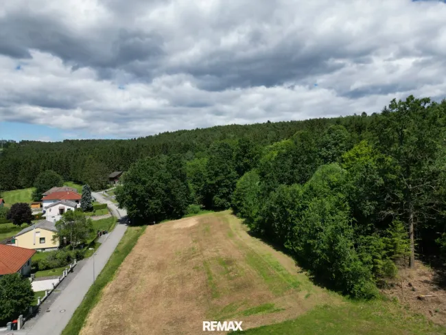 „Sonnige Baugrundstücke im Südburgenland in ruhiger Waldrandlage“ - Bild