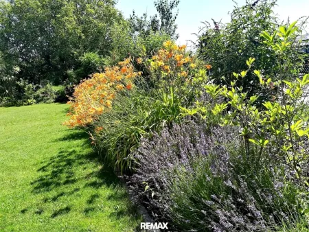 Gartenbereich