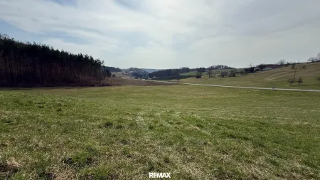 Blick Süden