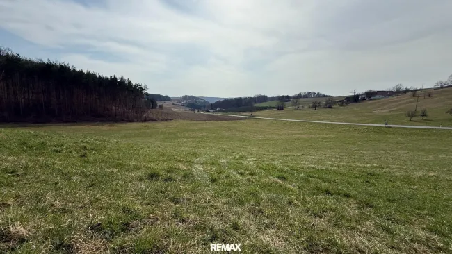 Blick Süden