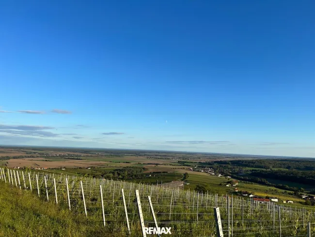 Blick Westen