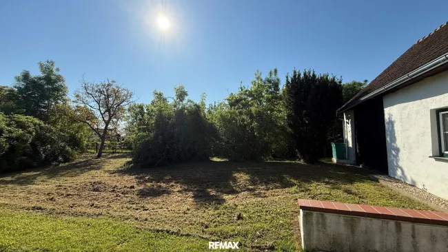 Sonnenschein