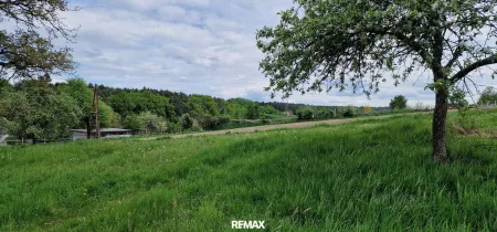 Natur