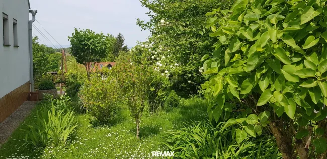 vorderer Garten