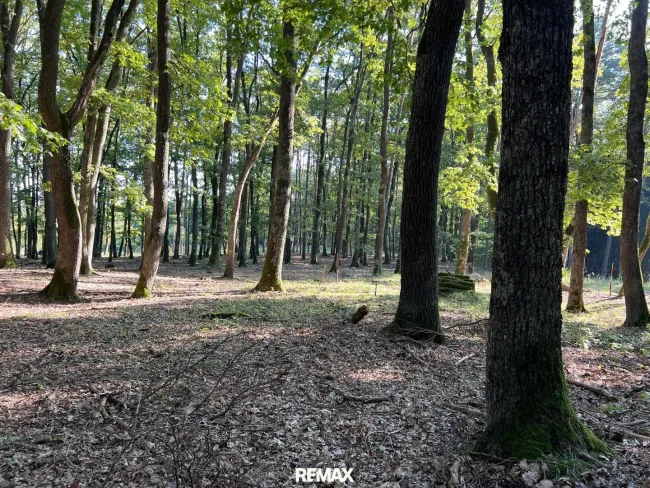 Natur spüren