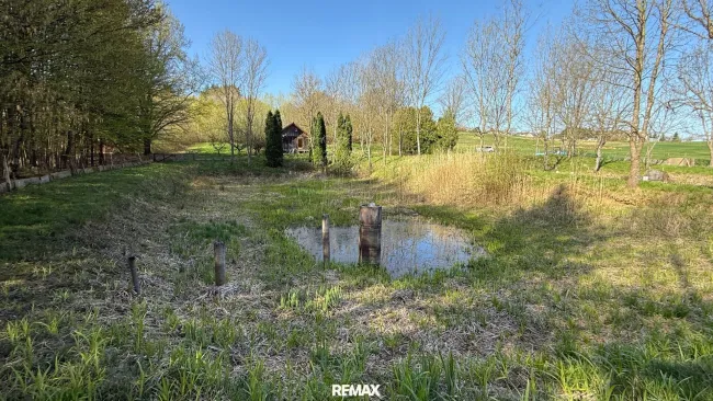 Teich 2