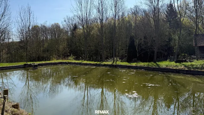 Teich 1