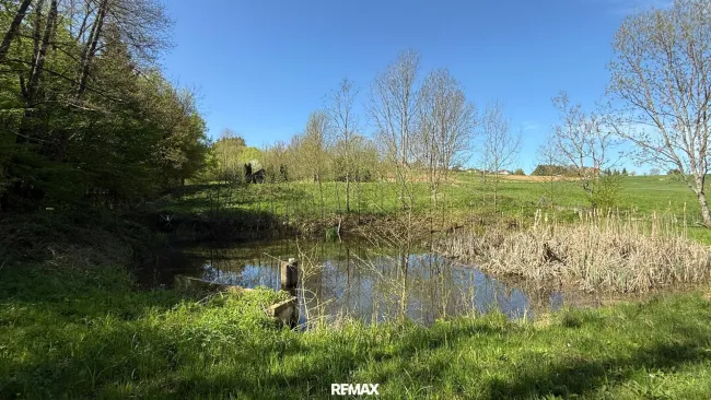 Teich 4