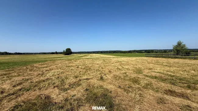 Paradies